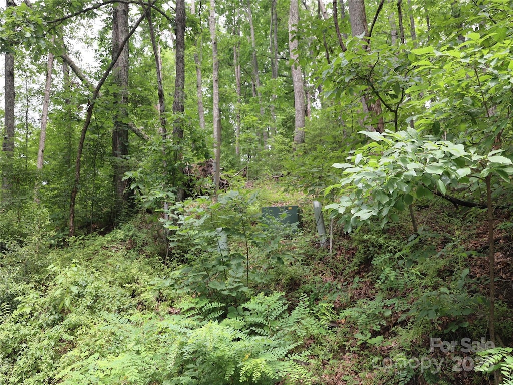 0 Hyde Well Dr Unit 8, Hendersonville, NC 28792 - photo 3