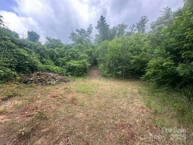 0 Cope Creek Rd, Sylva, NC 28779 - photo 1
