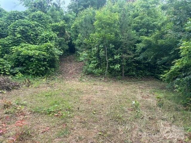 0 Cope Creek Rd, Sylva, NC 28779 - photo 2