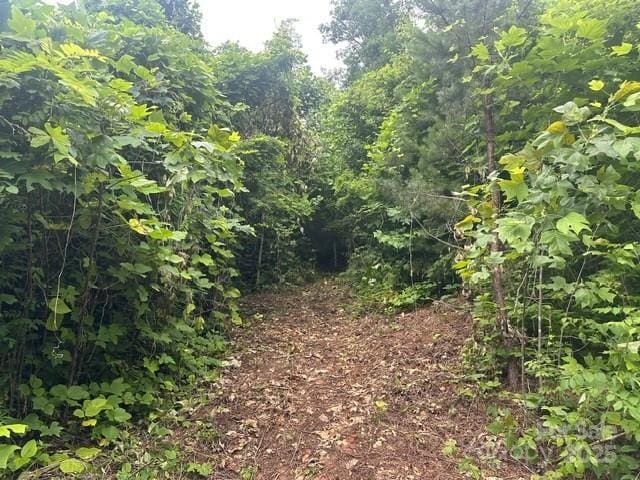 0 Cope Creek Rd, Sylva, NC 28779 - photo 3
