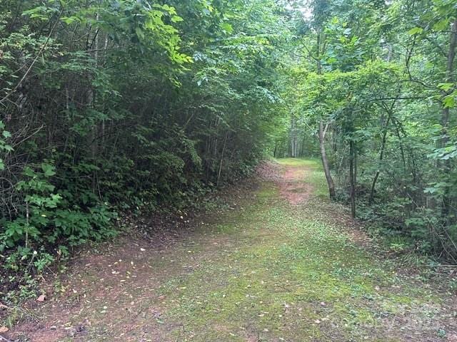 0 Cope Creek Rd, Sylva, NC 28779 - photo 4