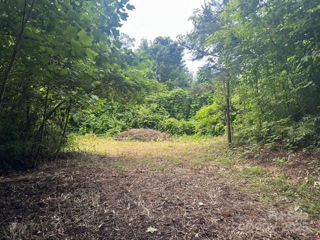 0 Cope Creek Rd, Sylva, NC 28779 - photo 5