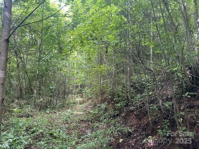 0 Cope Creek Rd, Sylva, NC 28779 - photo 7