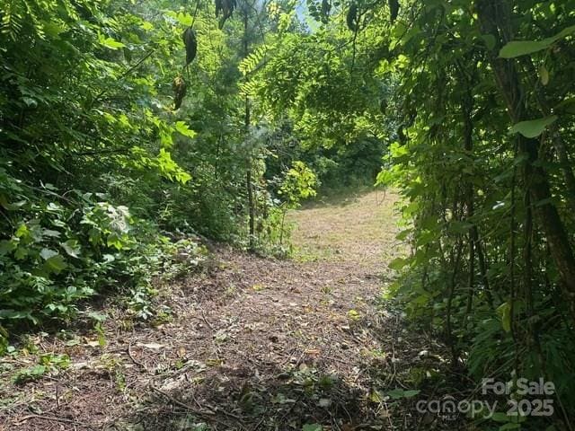 0 Cope Creek Rd, Sylva, NC 28779 - photo 8