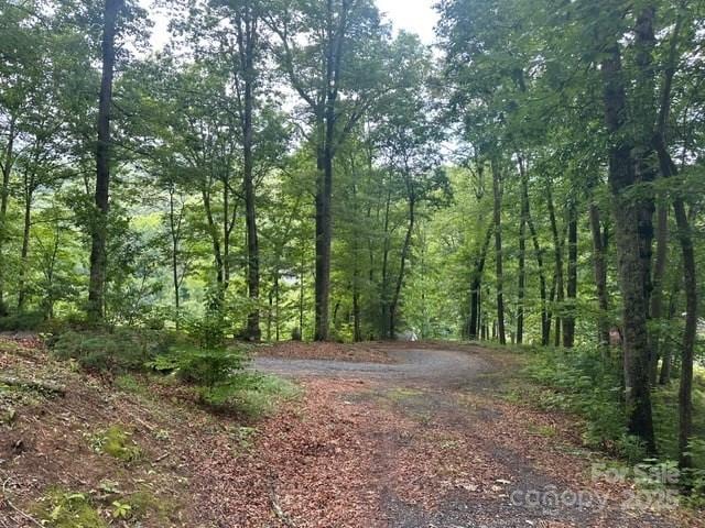 0 Cope Creek Rd, Sylva, NC 28779 - photo 9