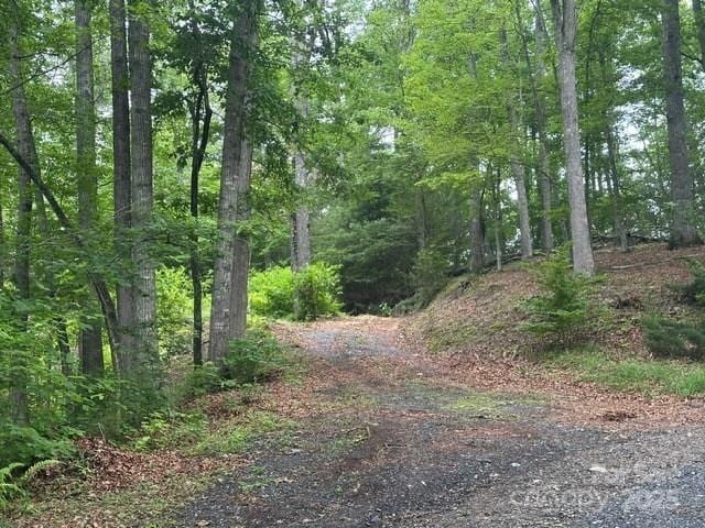 0 Cope Creek Rd, Sylva, NC 28779 - photo 10