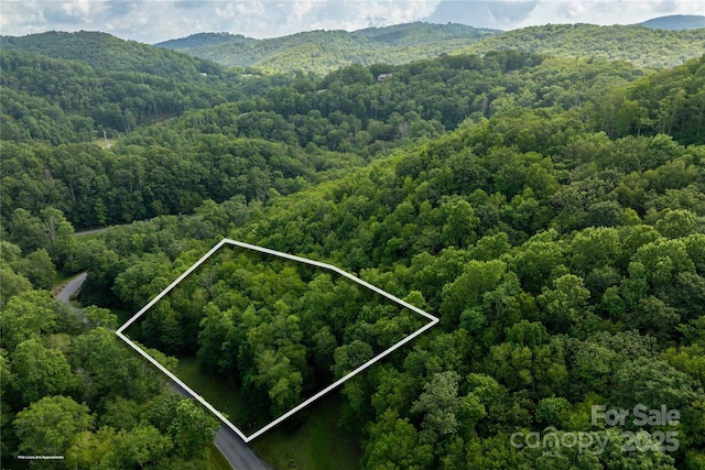 TBDLOT106 Firethorn Trl Unit 106, Blowing Rock, NC 28605 - photo 4