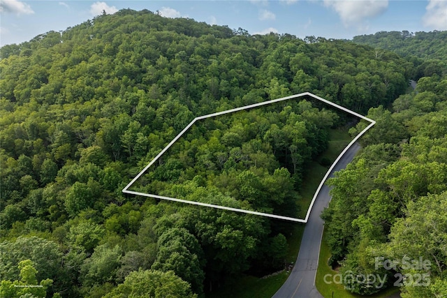 TBDLOT106 Firethorn Trl Unit 106, Blowing Rock, NC 28605 - photo 6