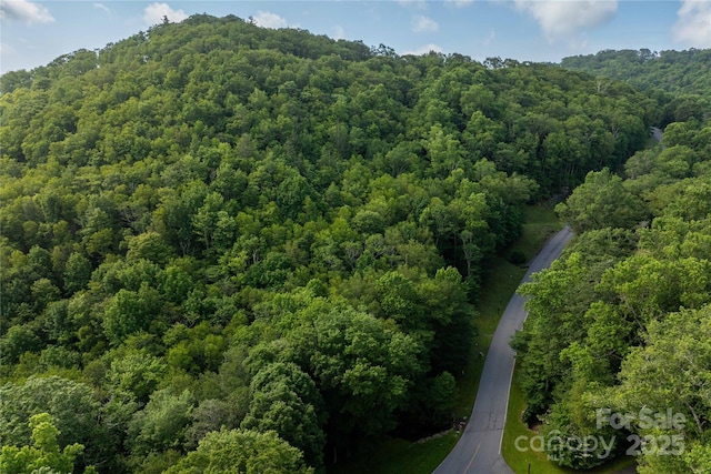 TBDLOT106 Firethorn Trl Unit 106, Blowing Rock, NC 28605 - photo 7