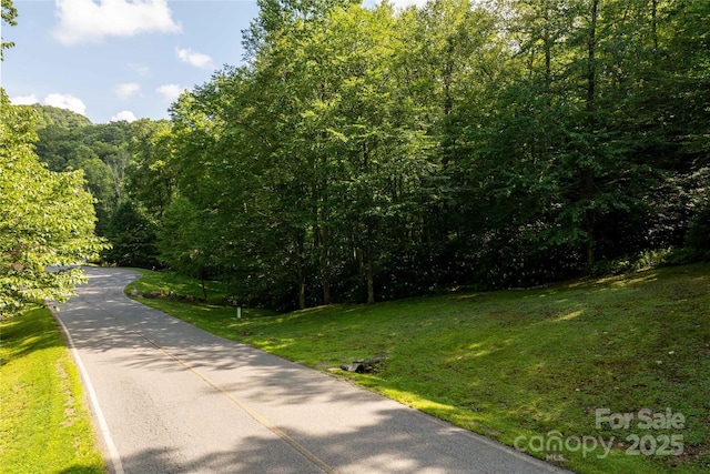 TBDLOT106 Firethorn Trl Unit 106, Blowing Rock, NC 28605 - photo 1