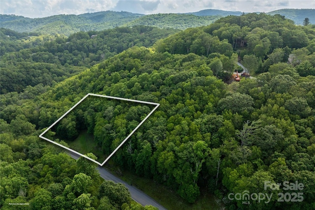 TBDLOT107 Firethorn Trl Unit 107, Blowing Rock, NC 28605 - photo 6