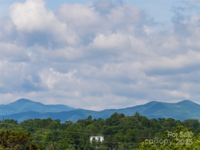 4506 Breakers Ln, Asheville, NC 28806 - photo 5