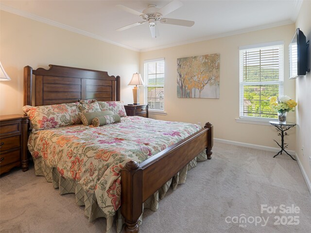 4506 Breakers Ln, Asheville, NC 28806 - photo 22