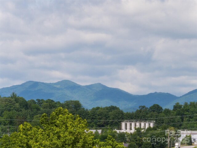4506 Breakers Ln, Asheville, NC 28806 - photo 32