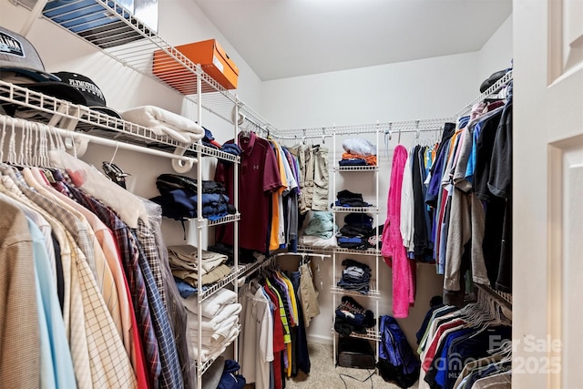 6309 Chamar Cir, Kannapolis, NC 28081 - spacious closet featuring carpet flooring