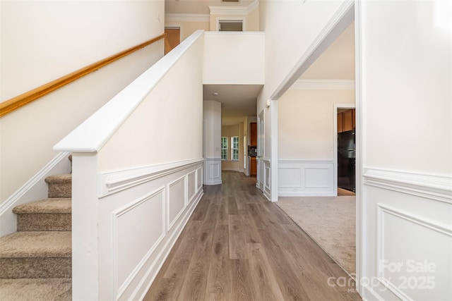 5233 Halverson Ct, Kannapolis, NC 28083 - stairs featuring wood finished floors, ornamental molding, a decorative wall, wainscoting, and a high ceiling