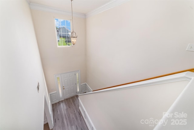 5233 Halverson Ct, Kannapolis, NC 28083 - stairs featuring wood finished floors, crown molding, and a chandelier