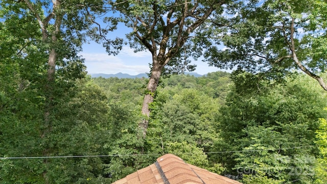 435 Pauline Ave, Franklin, NC 28734 - view of mountain background featuring a forest