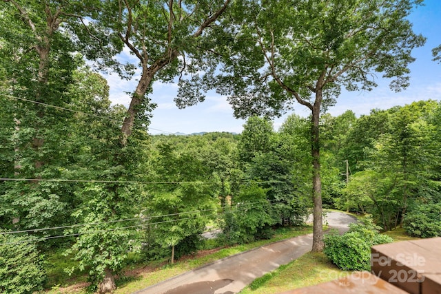 435 Pauline Ave, Franklin, NC 28734 - view of yard featuring a forest view