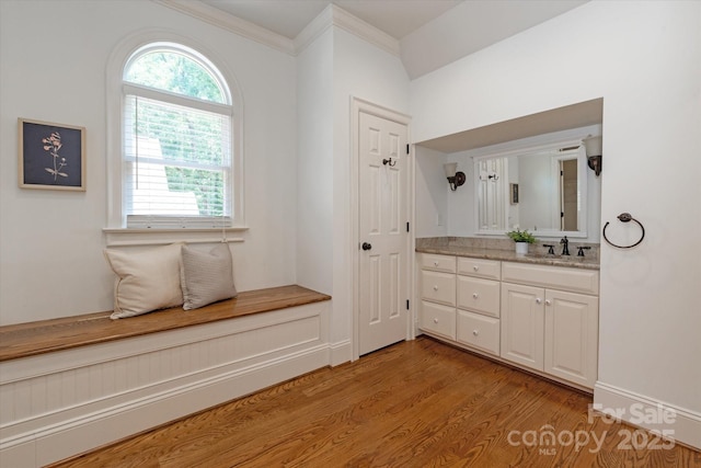 3408 Sandalwood Ln, Waxhaw, NC 28173 - bathroom featuring vanity, wood finished floors, and ornamental molding