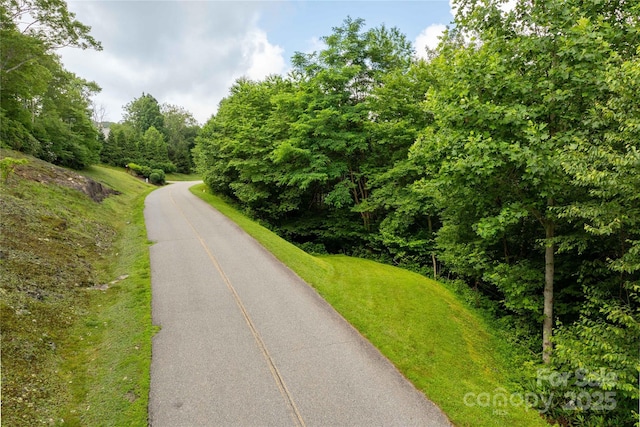 TBDLOT121 Firethorn Trl Unit 121, Blowing Rock, NC 28605 - photo 2