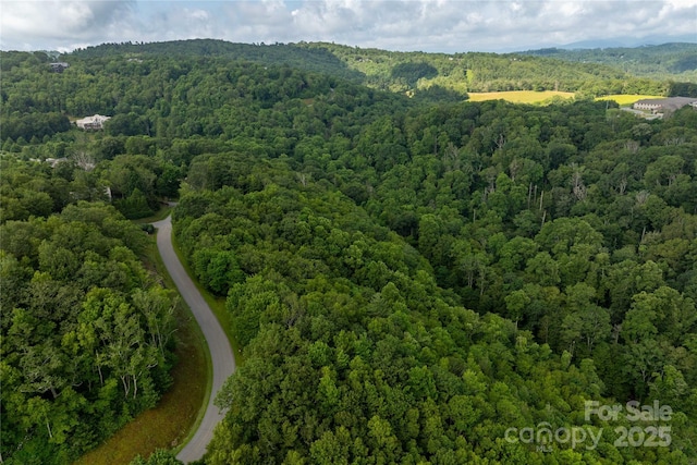TBDLOT121 Firethorn Trl Unit 121, Blowing Rock, NC 28605 - photo 6