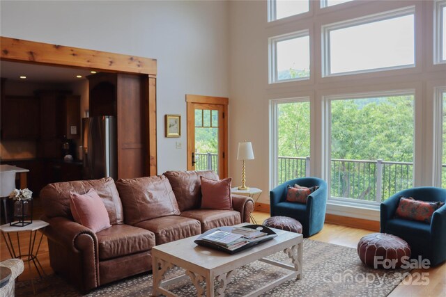 2839 Catawba Falls Pkwy, Black Mountain, NC 28711 - photo 10