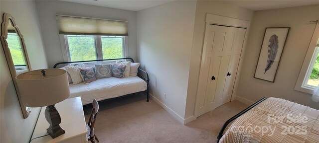 2839 Catawba Falls Pkwy, Black Mountain, NC 28711 - photo 31
