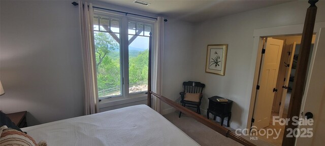 2839 Catawba Falls Pkwy, Black Mountain, NC 28711 - photo 34