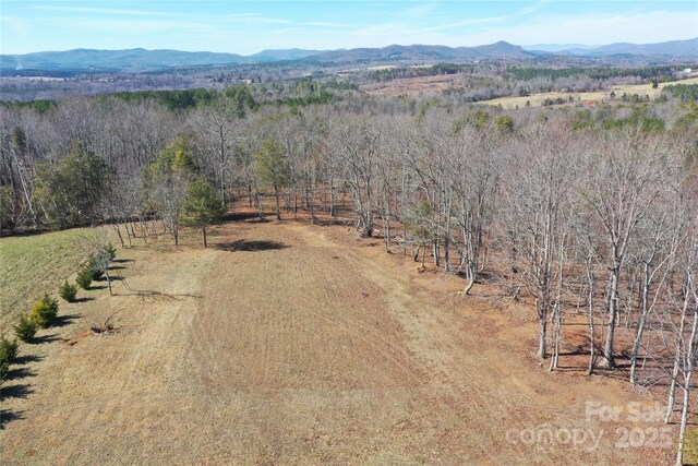 5347 Jackson White Rd, Lawndale, NC 28090 - photo 30