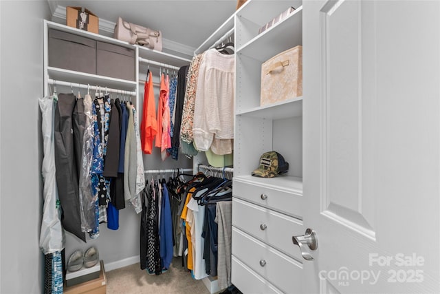 4103 Christine Ln Unit E, Waxhaw, NC 28173 - walk in closet featuring carpet flooring