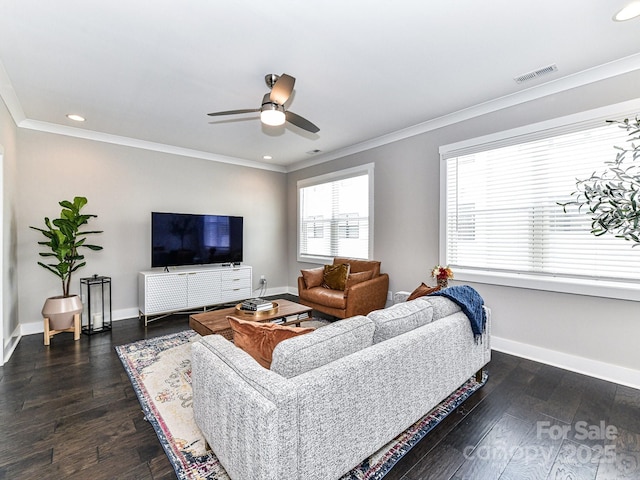 1116 E 36th St, Charlotte, NC 28205 - photo 15