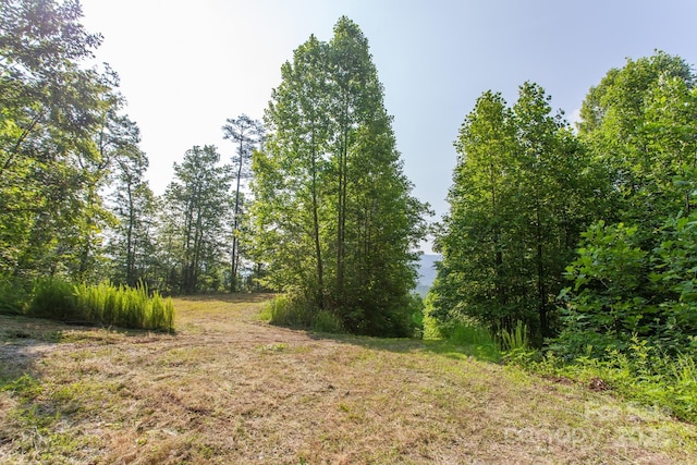 1200 Tobacco Branch Rd, Almond, NC 28702