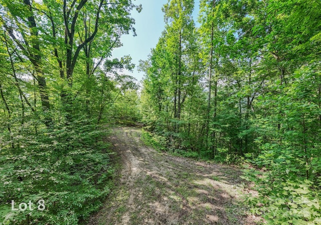 1200 Tobacco Branch Rd, Almond, NC 28702