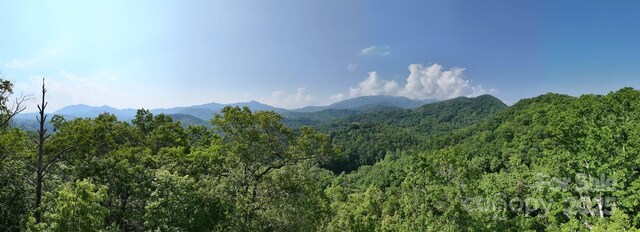 1200 Tobacco Branch Rd, Almond, NC 28702