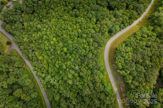 TBDLOT122 Firethorn Trl Unit 122, Blowing Rock, NC 28605 - photo 5