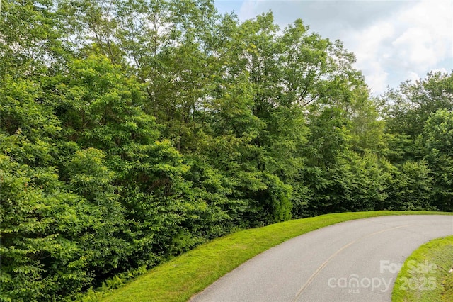 TBDLOT122 Firethorn Trl Unit 122, Blowing Rock, NC 28605 - photo 1