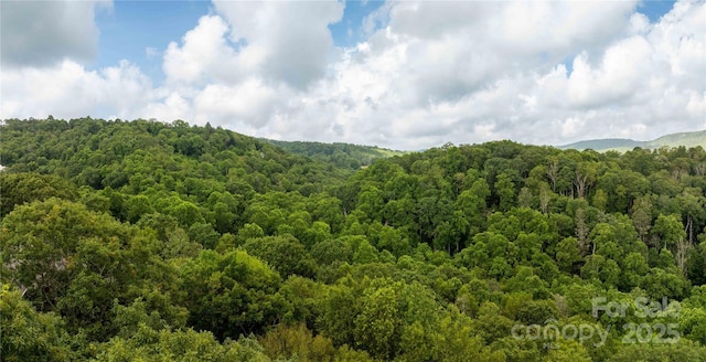 TBDLOT122 Firethorn Trl Unit 122, Blowing Rock, NC 28605 - photo 7
