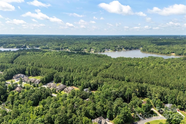 2074 Brandt Rd, York, SC 29745 - aerial view of property's location featuring a forest and a nearby body of water