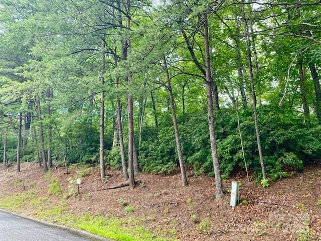 0 Quail Ridge Rd Unit 164, Lake Lure, NC 28746