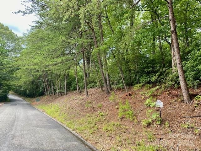 0 Quail Ridge Rd Unit 164, Lake Lure, NC 28746