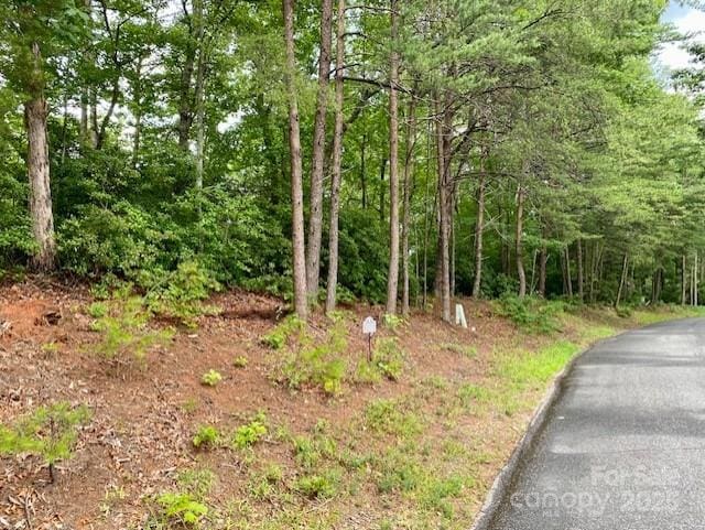 0 Quail Ridge Rd Unit 164, Lake Lure, NC 28746