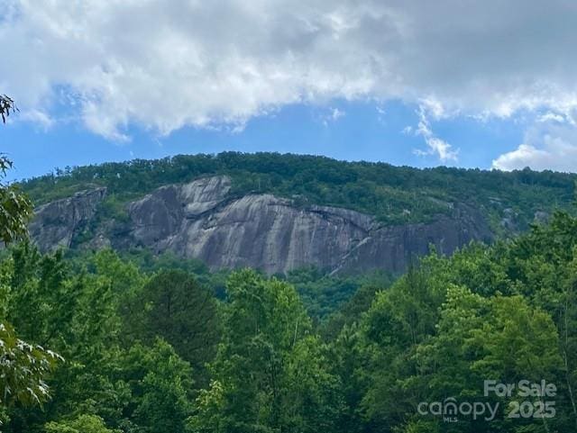 0 Quail Ridge Rd Unit 164, Lake Lure, NC 28746