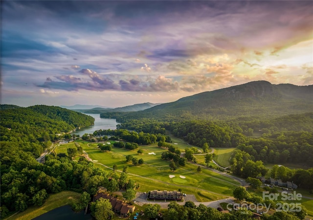 0 Quail Ridge Rd Unit 164, Lake Lure, NC 28746