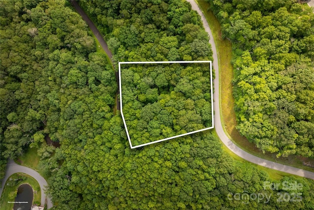 TBDLOT123 Firethorn Trl Unit 123, Blowing Rock, NC 28605 - photo 4