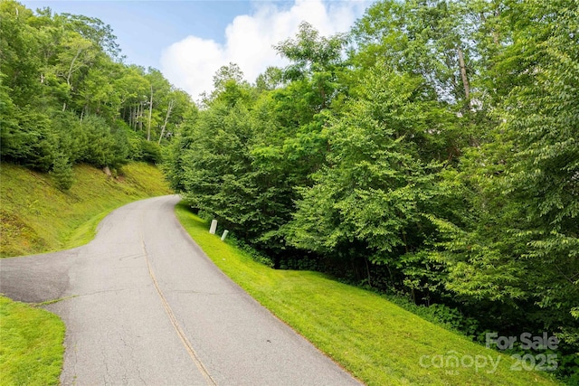 TBDLOT123 Firethorn Trl Unit 123, Blowing Rock, NC 28605 - photo 1