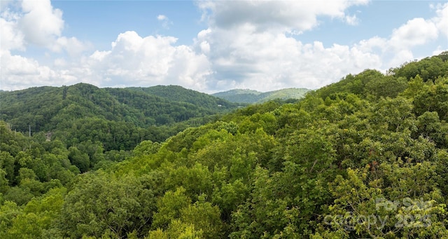 TBDLOT123 Firethorn Trl Unit 123, Blowing Rock, NC 28605 - photo 7