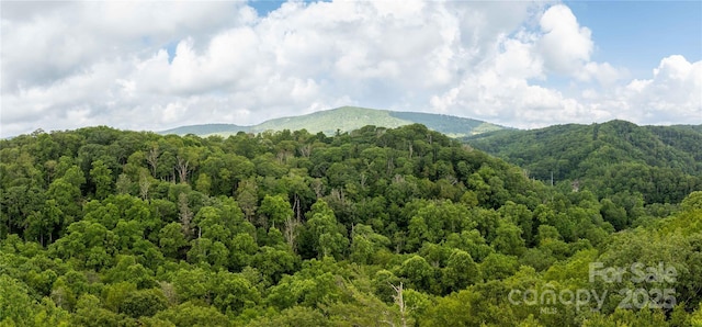 TBDLOT123 Firethorn Trl Unit 123, Blowing Rock, NC 28605 - photo 8