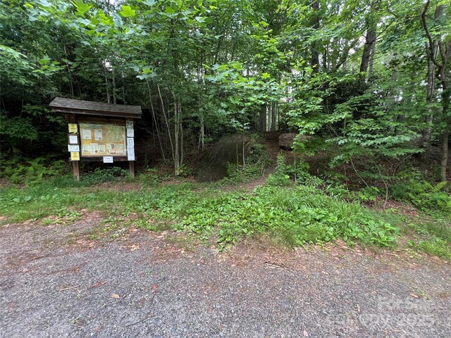 125 Heartland Ln, Burnsville, NC 28714 - photo 41