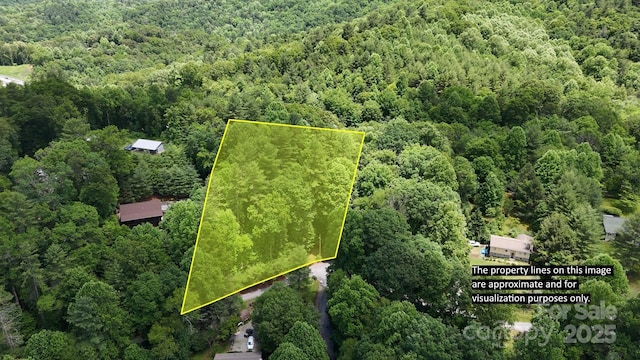 00 Serendipity Ln Unit 111, Waynesville, NC 28785